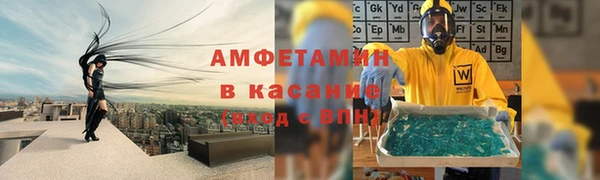 ГАЛЛЮЦИНОГЕННЫЕ ГРИБЫ Аркадак