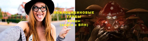 СК Арсеньев