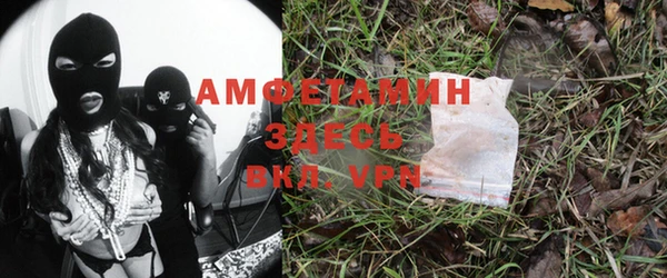 ГАЛЛЮЦИНОГЕННЫЕ ГРИБЫ Аркадак