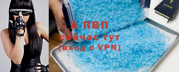 соль ск Новодвинск