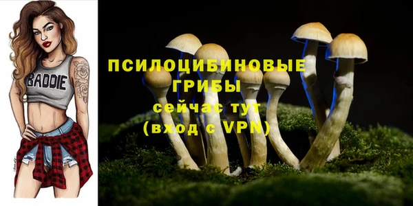 СК Арсеньев