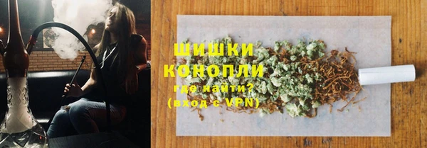 ГАЛЛЮЦИНОГЕННЫЕ ГРИБЫ Аркадак