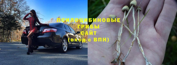 СК Арсеньев